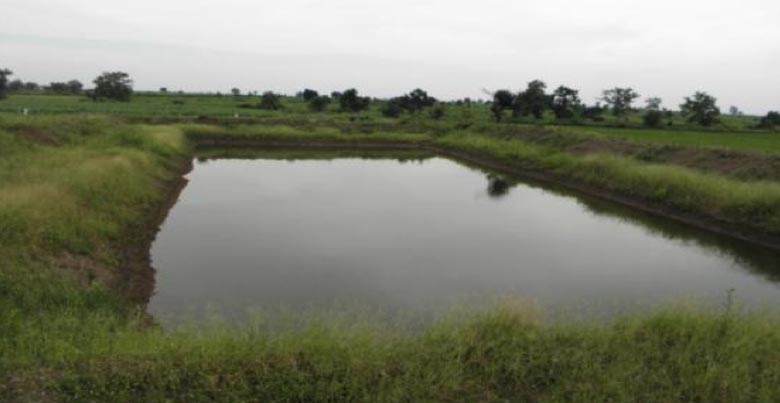 Farm Pond